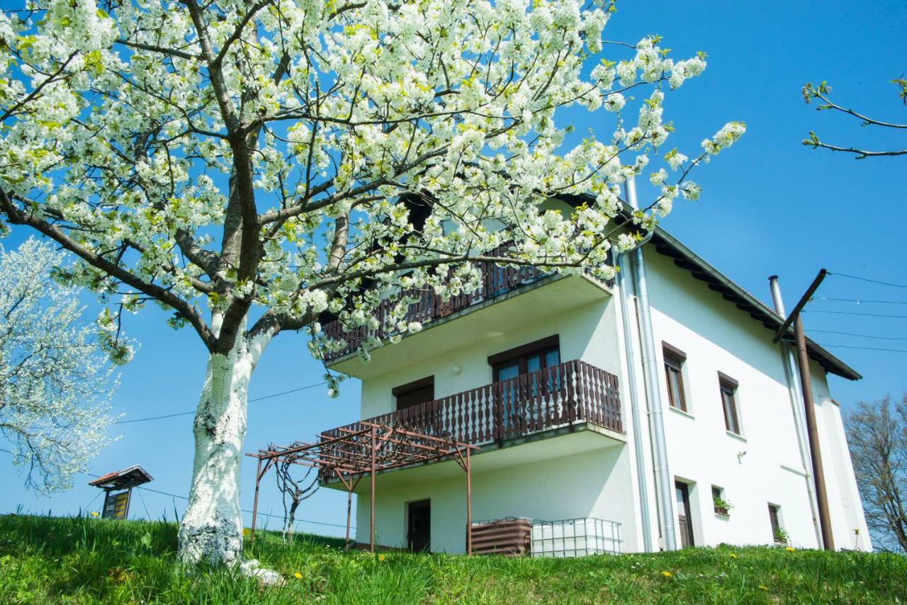 House Spehar Hotel Selište Drežničko Exterior foto