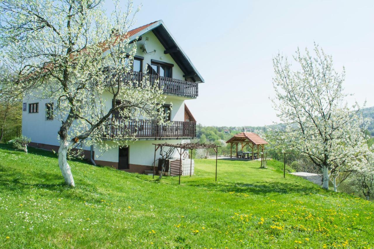 House Spehar Hotel Selište Drežničko Exterior foto