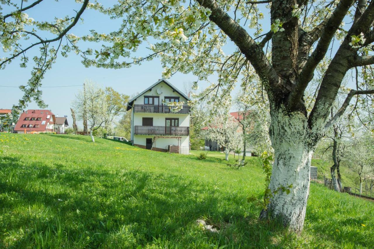 House Spehar Hotel Selište Drežničko Exterior foto